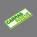 Logo di Caritas Insime